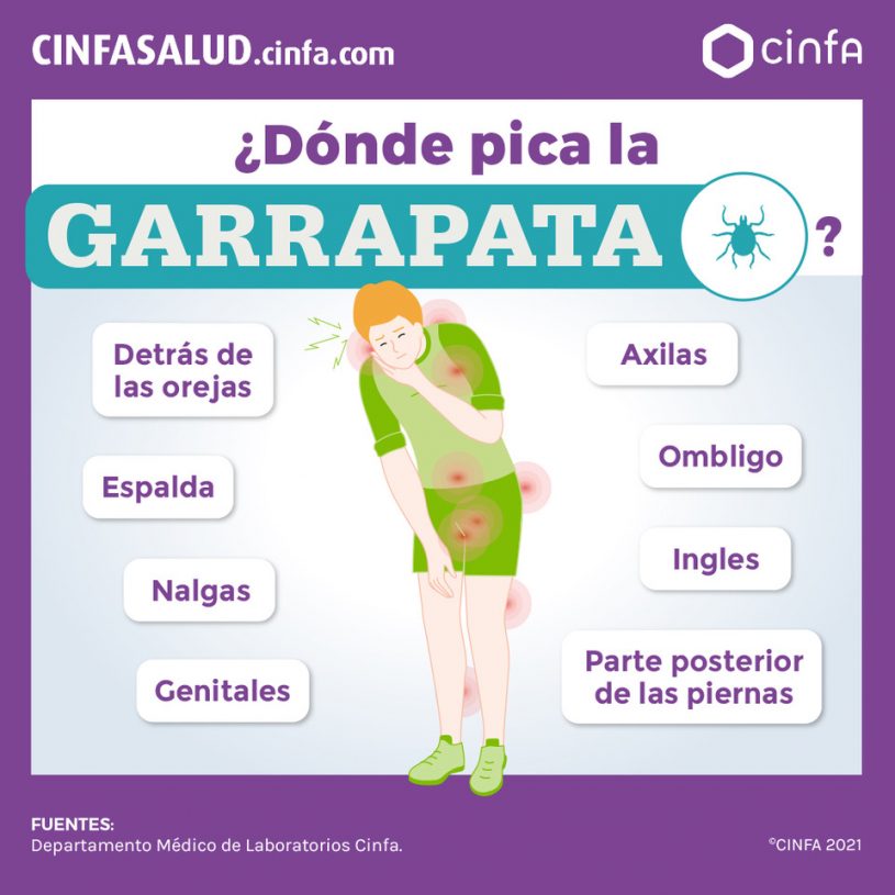 ¿Cómo Se Trata La Picadura De Una Garrapata? Síntomas | CinfaSalud