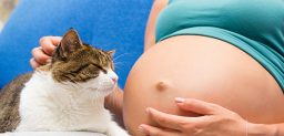 ¿Qué riesgo supone la toxoplasmosis en el embarazo? CinfaSalud