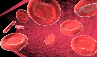 La sangre está compuesta de plaquetas, glóbulos rojos, glóbulos blancos.... CinfaSalud