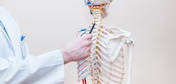 ¿Se puede tratar la espondilitis?
