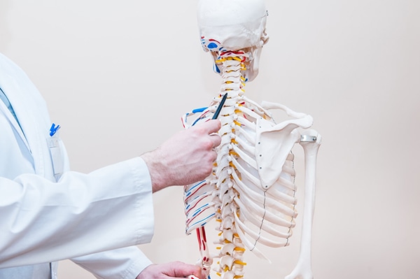 Dolor lumbar, ¿Te duele la espalda baja y no sabes por qué? Nuevo estudio  muestra a qué se debe, TECNOLOGIA