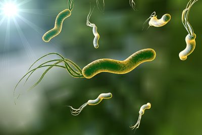 Es posible erradicar la bacteria H. pylori.