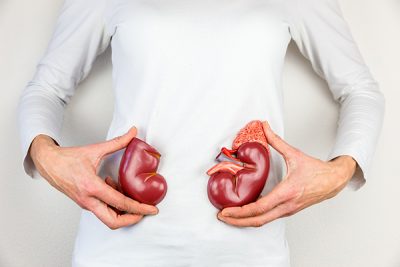 ¿Cómo influye el estado de los riñones en tu salud? CinfaSalud