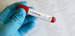 El cólera es una enfermedad intestinal aguda causada por la ingestión de alimentos contaminados.