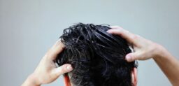 De escaso grosor, el cuero cabelludo tiene aspecto blanquecino y levemente transparente, ya que apenas tiene pigmentación, está formado por cinco capas de tejido.