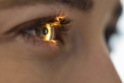 Entre las enfermedades de la retina, se pueden clasificar en cuatro grupos